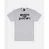 Skate and Destroy T-Shirt grey